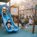 데일리핏 | 어린이 마스크 고민 해결! 메디케이알 데일리핏 KF94 소형 후기, 유아 어린이 마스크 추천