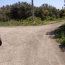 성읍리-25 이미지