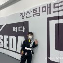 장산 팀매드 (팀매드 장산) 이미지