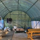 곡은농장 이미지