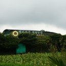 캡틴제주 이미지