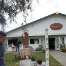 김주식농장 | +ᴾᴵᵀᵀ ᴹᴱᴬᴰᴼᵂ,ᶜᴼᴿᴺ ᴹᴬᶻᴱ+핏메도우,cornmaze,옥수수미로밭,밴쿠버관광