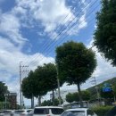 서창돼지국밥 | 양산 평산 맛집 탐나는순대돼지국밥 섞어국밥 수육 내돈내산 후기