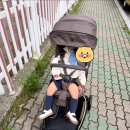 [내돈내산] 타보 트래블러 S3 구입 후기