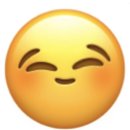 아농 이미지