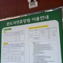 완도여행)완도자연휴양림 동백나무방 내돈내산후기