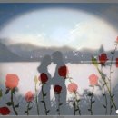 열두시 - 화성시 | 열두시