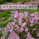 꿈마당유아숲체험원 네이버블로그