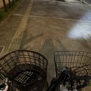 사이좋으니까 안심해ㅋㅋㅋ 이미지