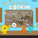 온양초사초등학교 이미지