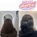 다산에서 1인 미용실을 찾는다면 헤어,온미 (내 돈 내산 솔직 후기)