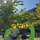 가리약수터 | 아침 가리 계곡 트레킹 정복