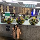마리에소니 이미지