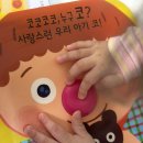 블루래빗 오감발달 첫 놀잇감 후기｜8개월 아기 최애책 반응·구성·핫딜가 구매✨