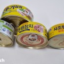 대선참치 이미지