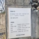 고성 바우지움 조각미술관 후기