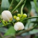 철이농장 이미지