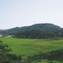 천지연산책로(폭포안) 이미지