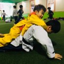 경희대호림태권도장 이미지