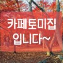 카페,토미 이미지