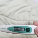 열난덩 뭐지 또 코로난가 이미지