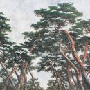태권TREE Daum카페