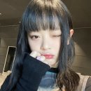 하니헤어 이미지
