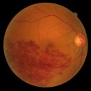 유망안과의원 이미지