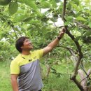 토룡농장 이미지