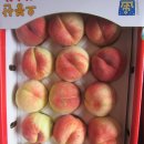 남산농원 이미지