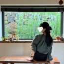 [제주 애월/스테이여울] 대나무숲,돌담이 보이는 독채 자쿠지 숙소 추천, 우미노식탁 포장