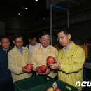 예산농산물유통센터-예산능금농업협동조합 이미지