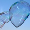 스마트폰&인터넷기초 이미지