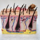 향동열린의원 이미지