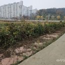 분수공원 다목적경기장 이미지