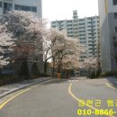 한국종합민원행정사사무소 이미지