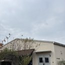 러블리 댕댕 | 빈103 남양주 인도커리 맛집 솔직후기