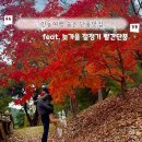 충효로(길안면) | 안동가볼만한곳 늦가을 빨간 숨은단풍맛집 여행기