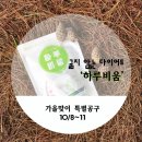 [하루비움] 가을에도 굶지말고 하루비움하세요:D