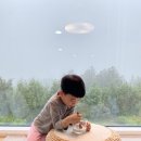 아다지오 선흘 이미지
