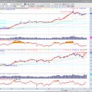 (주)와이바이오 이미지