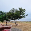 바다와 파도소리 이미지