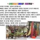 보현산댐전망대 이미지
