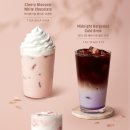 초콜릿포레스트 네이버블로그