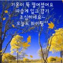 &#34;은행의 효능 10가지&#34; 이미지