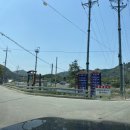 연하엽구름다리 이미지