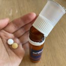 (주)가우식품 | 오쏘몰 이뮨 성분 독일vs한국 | 먹는법, 30일치 | 독일직장인이 먹어본 솔직 후기