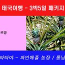 LK농장 이미지