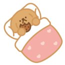 쿠키&청 이미지