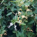 재미있는 장구 교실 이미지